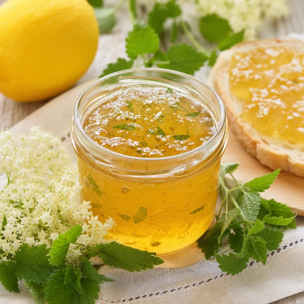 Aromatisches Holunderblütengelee mit Zitronenmelisse